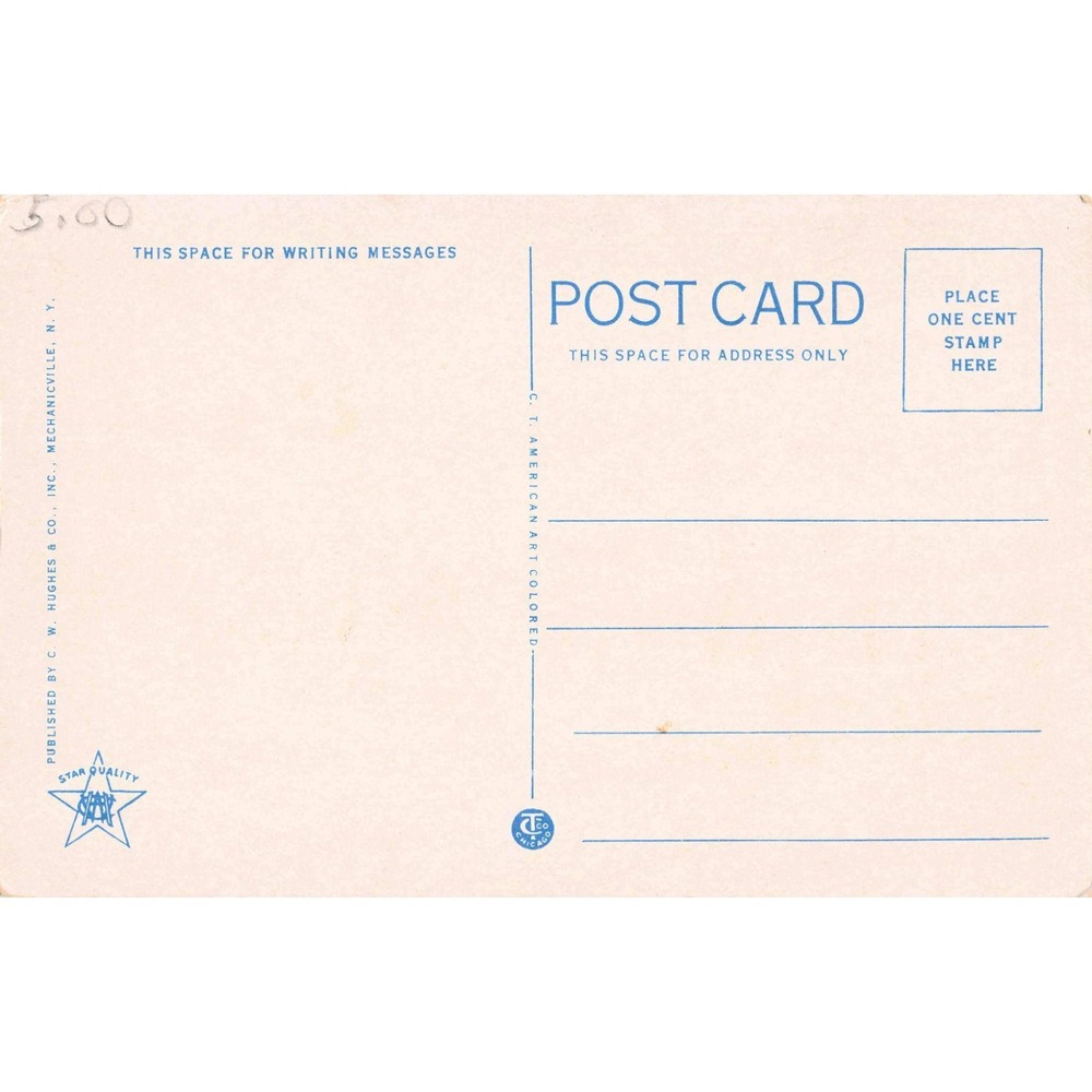 Vintage Brown Swan Club Schroon Lake NY Adirondacks Linen Postcard 123200 - Picture 2 of 2